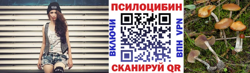 дарк нет как зайти  Вельск  Псилоцибиновые грибы GOLDEN TEACHER 